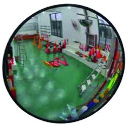 Convex Security/Safety Mirror Interior